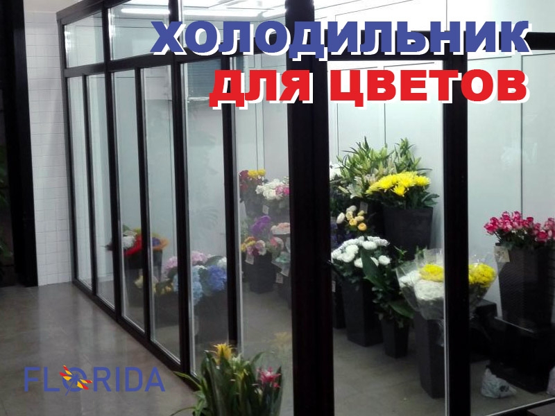 Навіщо потрібен холодильник для квітів?