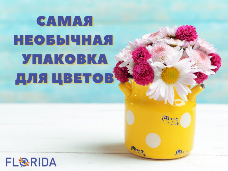 Незвичайна упаковка для квітів Незвичайна упаковка для квітів