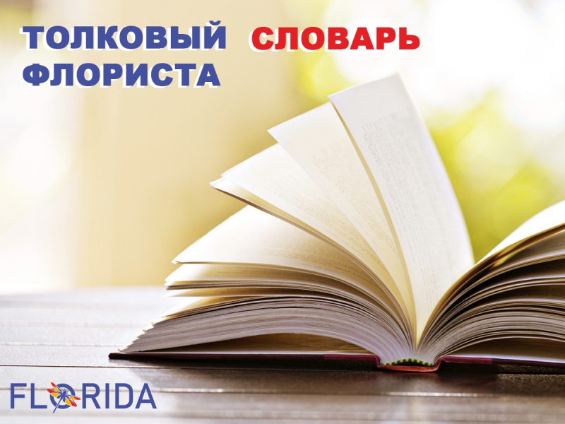 Тлумачний словник флориста