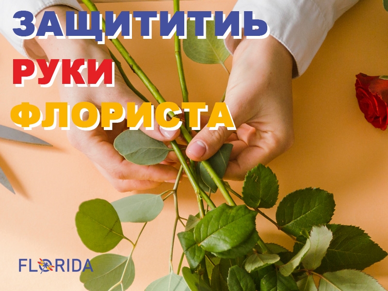 Як захистити руки флориста Як захистити руки флориста