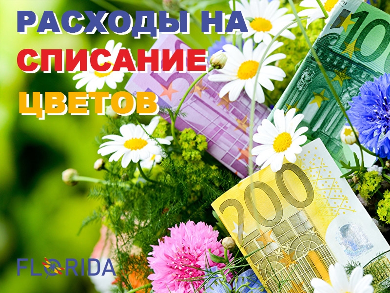 Зменшуємо витрати на списання квітів