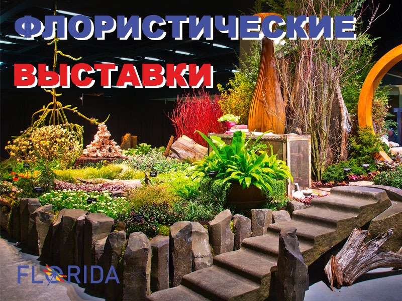 20 виставок квітів, які потрібно відвідати флористу  