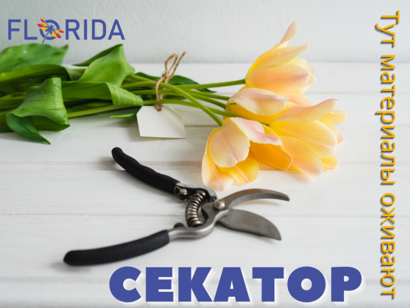 Хвилина слави: секатор Хвилина слави: секатор