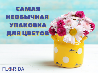 Незвичайна упаковка для квітів Незвичайна упаковка для квітів