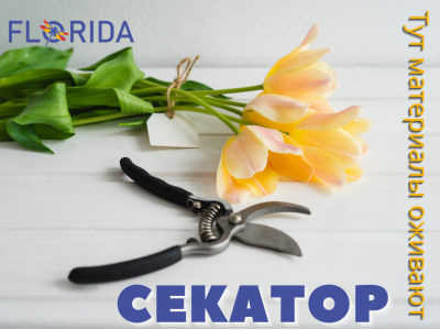 Хвилина слави: секатор Хвилина слави: секатор