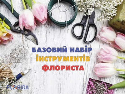 Базовий набір інструментів флориста